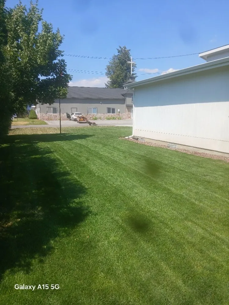 Professional yard cleanup service in Loon Lake, WA by Loon Lake Lawn Care
