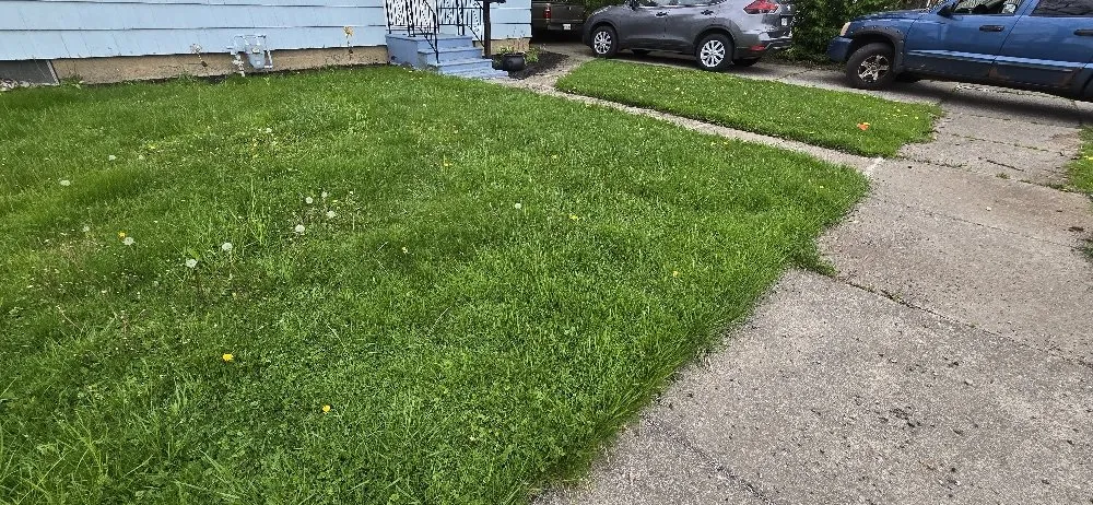 Professional landscape installation with custom design across Silver Creek, NY - Looneys Landscaping