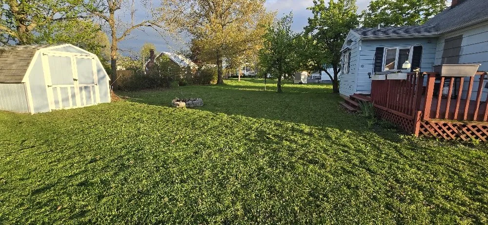 Expert lawn care service experts serving Silver Creek, NY - Looneys Landscaping