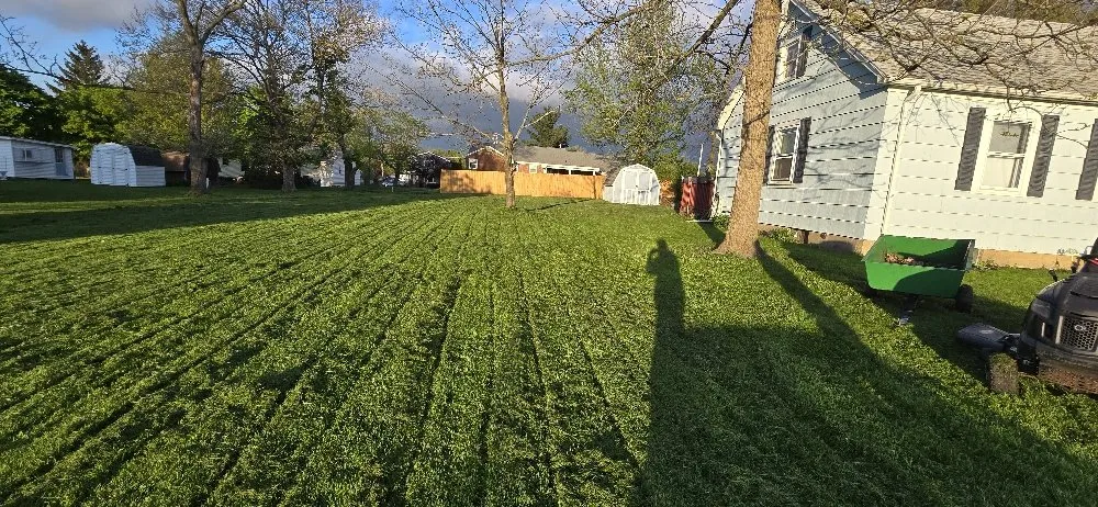 Local yard cleanup service for outdoor upgrades in Silver Creek, NY by Looneys Landscaping