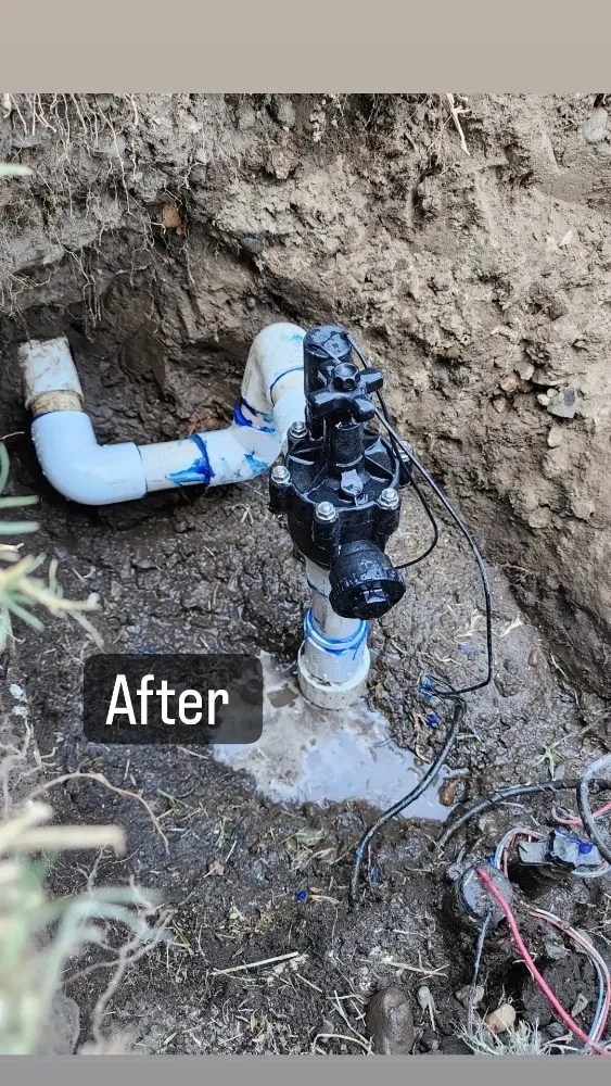 Affordable garden landscaping for year-round maintenance across Visalia, CA - Loopzan's Gardening & Landscaping