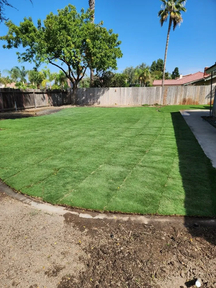 Professional yard maintenance near you in Visalia, CA by Loopzan's Gardening & Landscaping