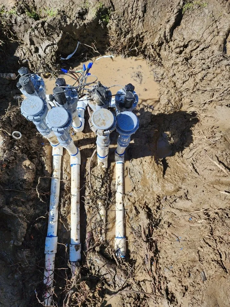 Expert yard maintenance near you in Visalia, CA by Loopzan's Gardening & Landscaping