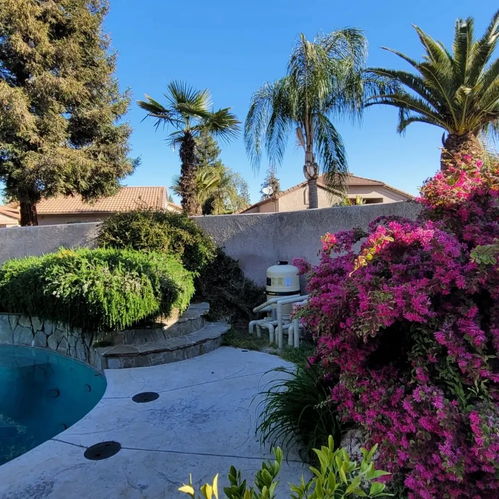 Local residential landscaping in Visalia, CA by Loopzan's Gardening & Landscaping