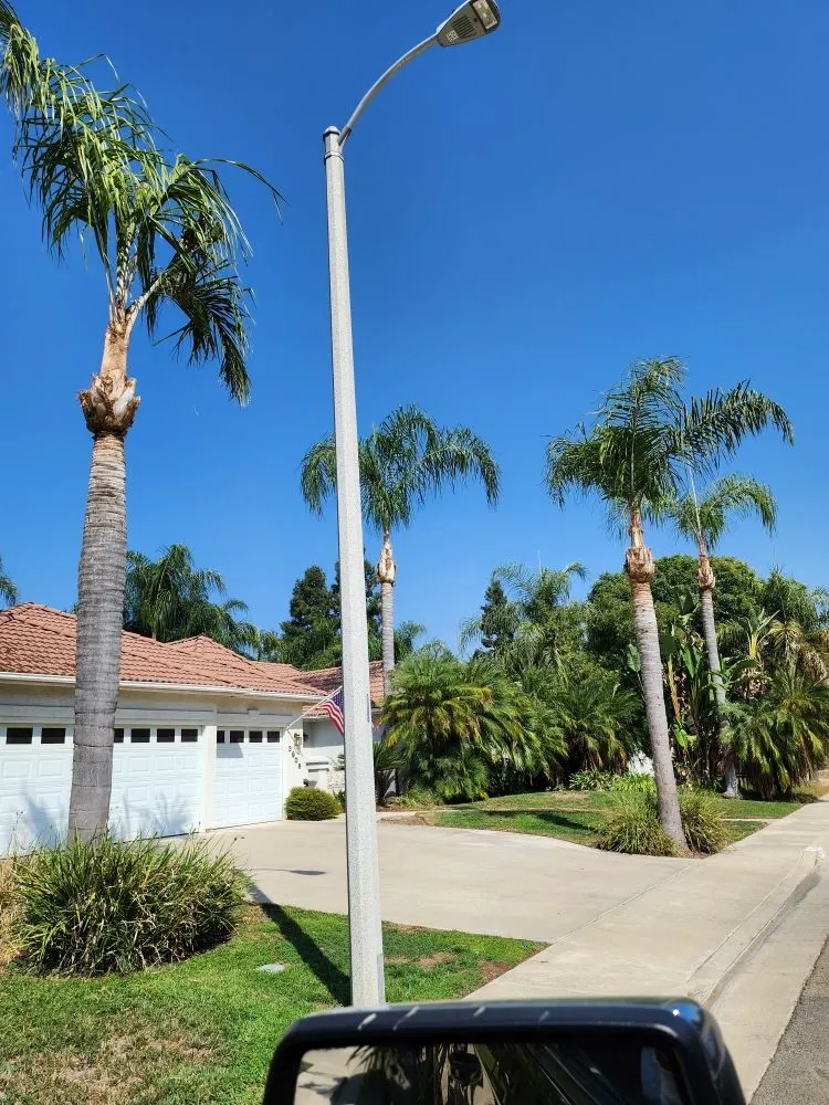 Trusted outdoor landscaping experts serving Visalia, CA - Loopzan's Gardening & Landscaping