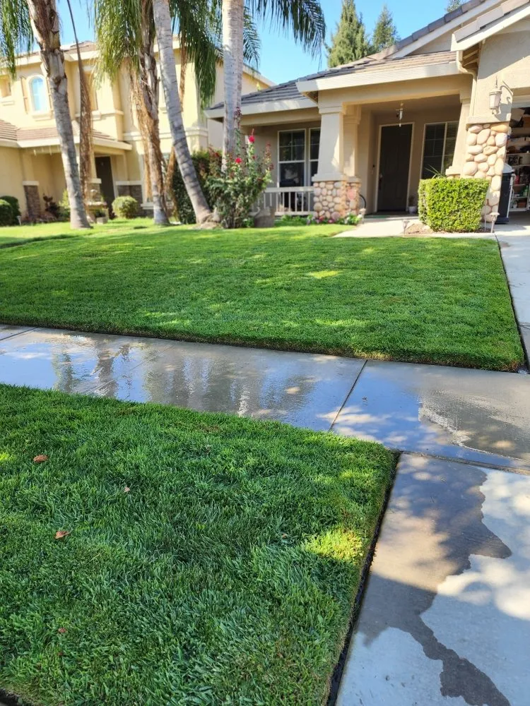 Local landscaping services for residential properties across Visalia, CA - Loopzan's Gardening & Landscaping