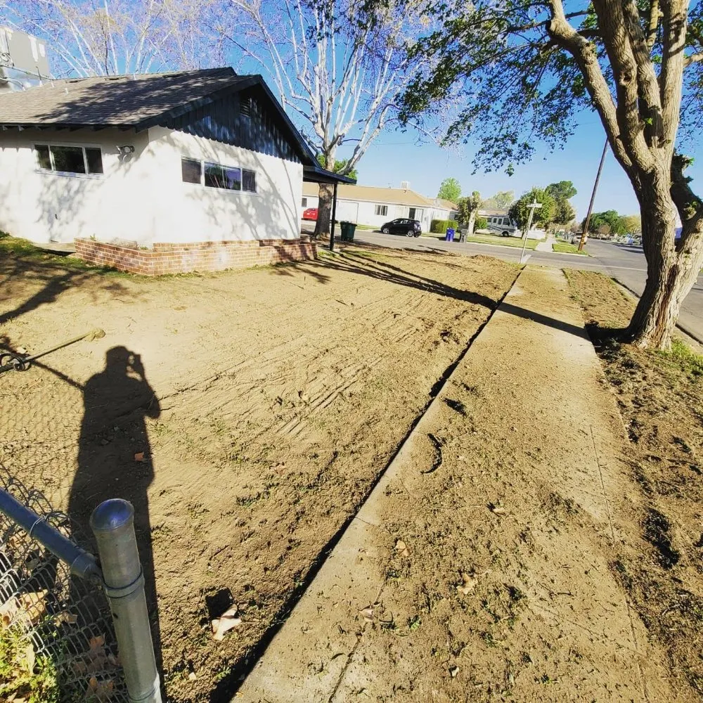 Local lawn care service in Visalia, CA - Loopzan's Gardening & Landscaping