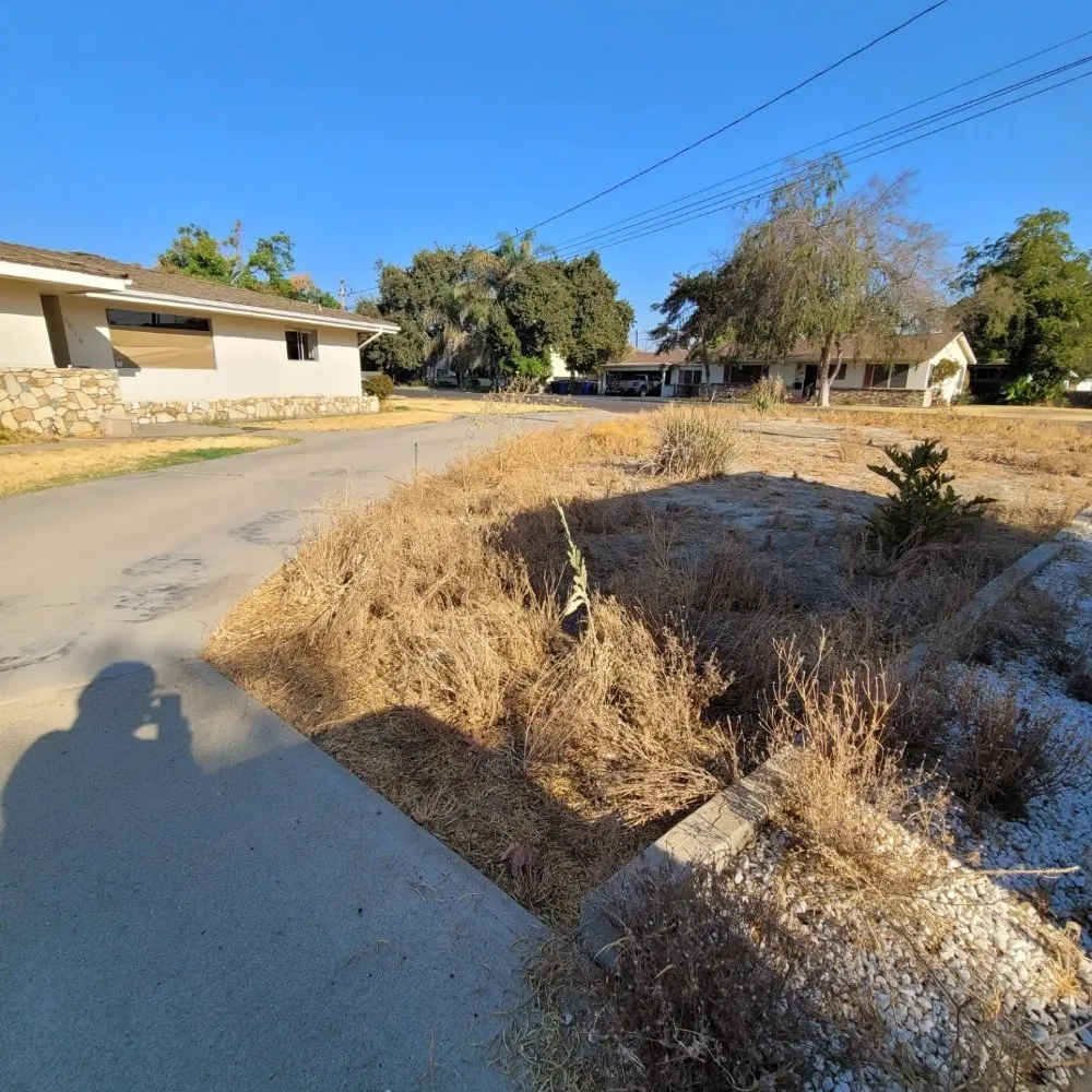 Professional yard cleanup service experts serving Visalia, CA - Loopzan's Gardening & Landscaping