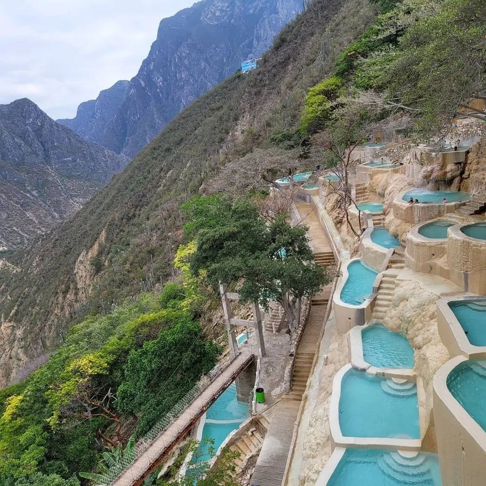 Local outdoor landscaping in Visalia, CA - Loopzan's Gardening & Landscaping