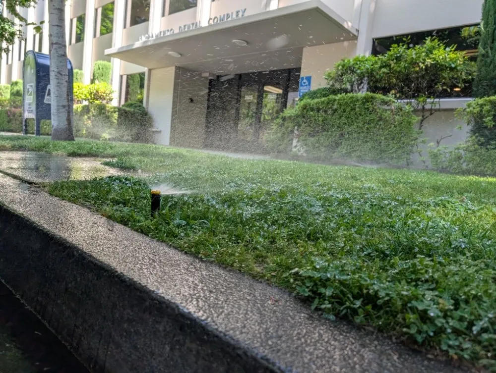 Local outdoor landscaping experts serving Folsom, CA - Loose Dirt