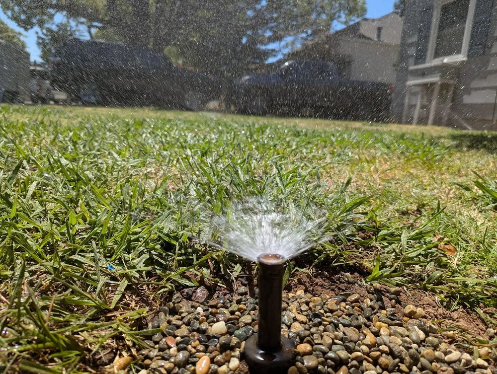 Top-rated residential landscaping in Folsom, CA by Loose Dirt