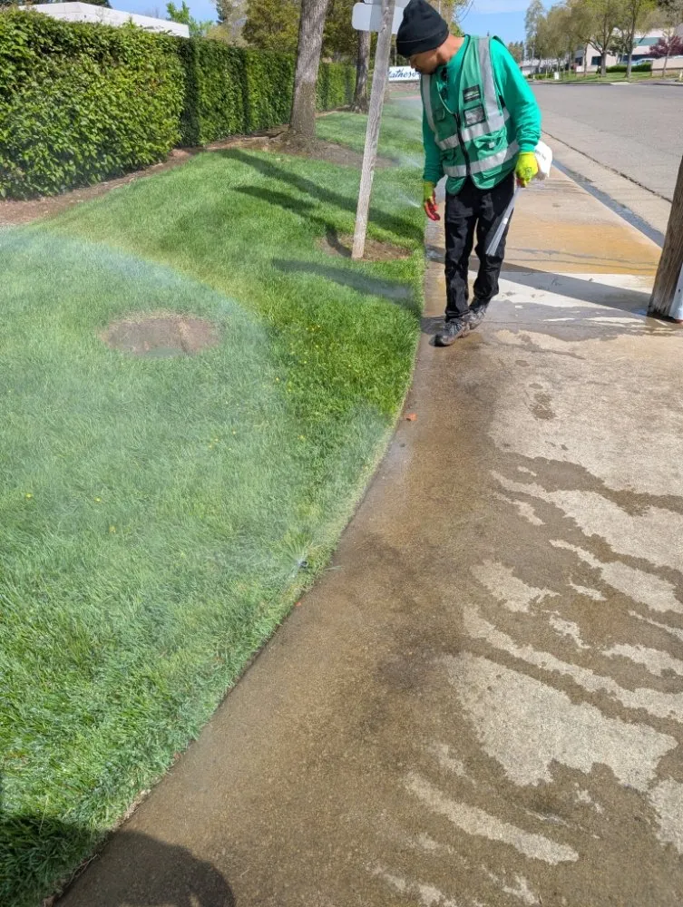 Professional yard maintenance in Folsom, CA - Loose Dirt