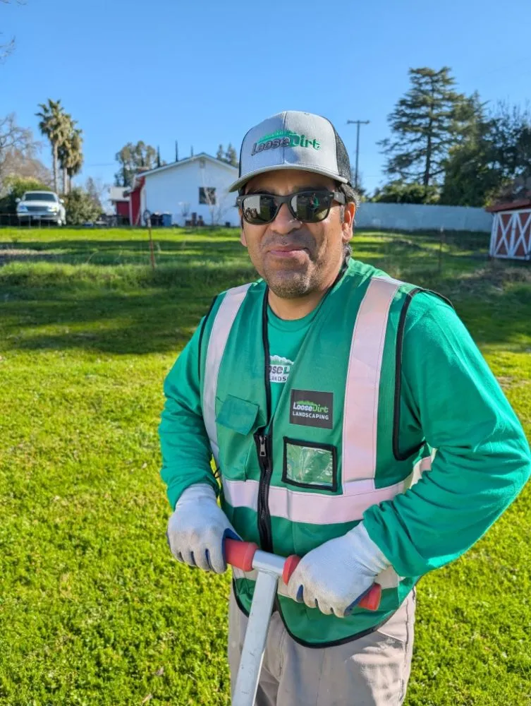 Reliable landscaping services with custom design in Folsom, CA by Loose Dirt