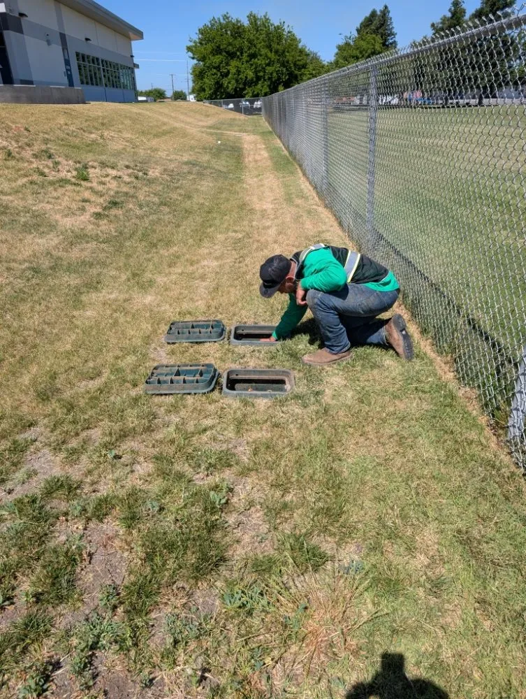 Expert yard cleanup service with custom design in Folsom, CA by Loose Dirt