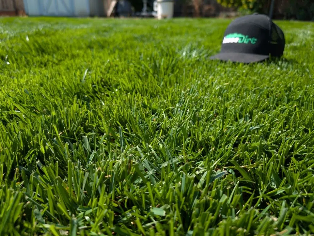 Custom yard maintenance in Folsom, CA - Loose Dirt