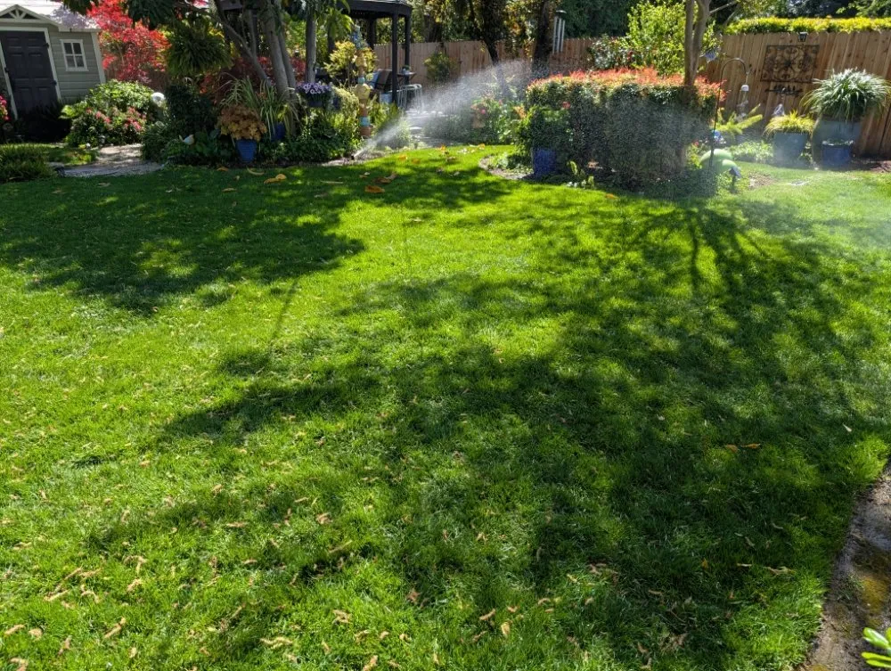Local garden landscaping for residential properties in Folsom, CA by Loose Dirt
