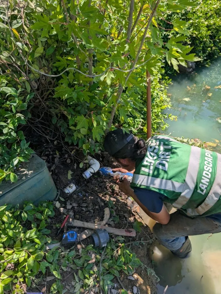 Top-rated outdoor landscaping in Folsom, CA - Loose Dirt