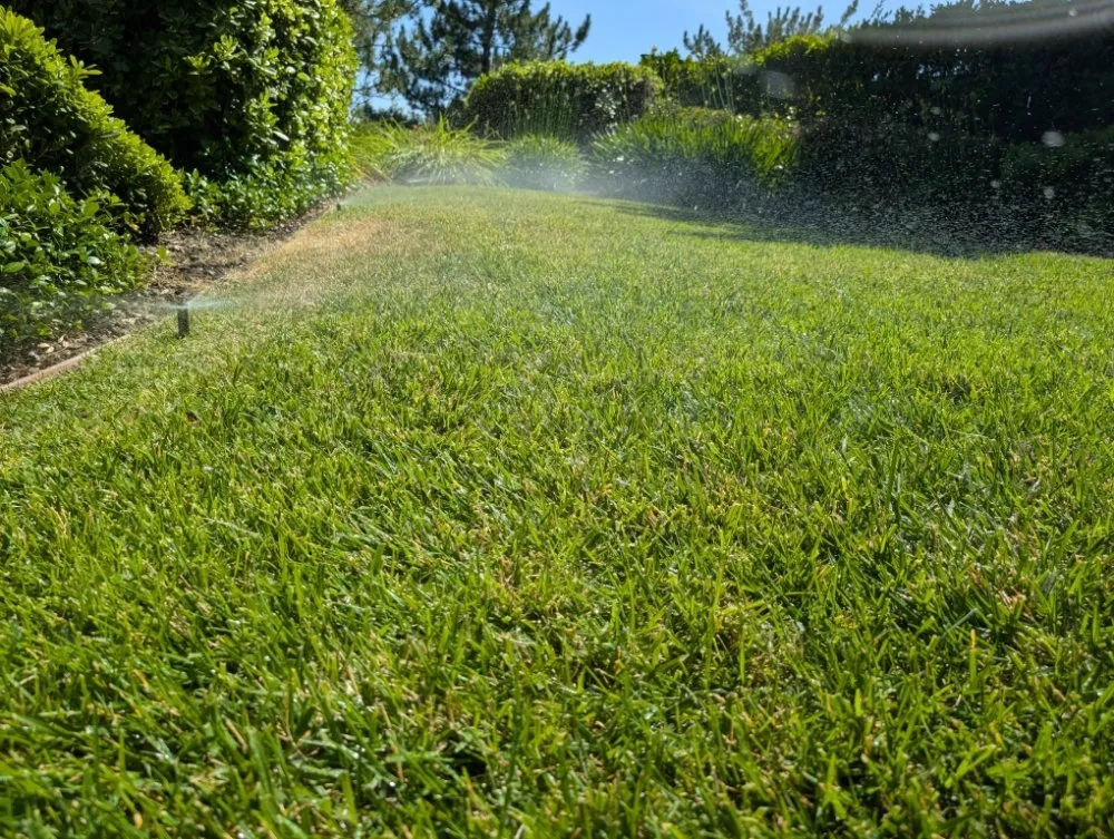 Trusted outdoor landscaping experts serving Folsom, CA - Loose Dirt