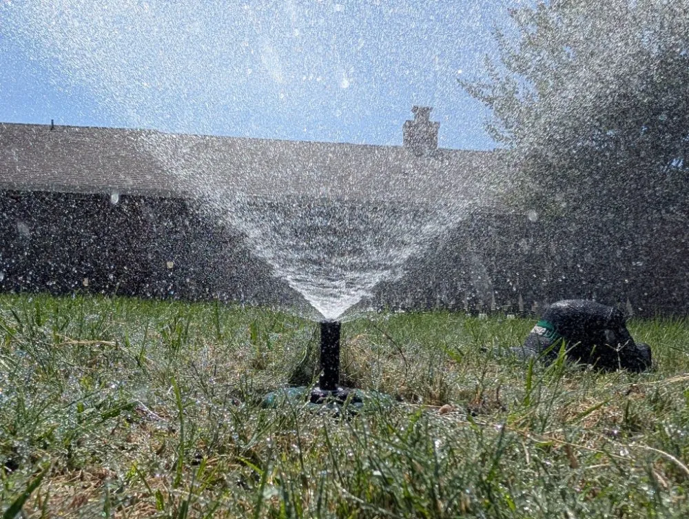 Custom landscaping services in Folsom, CA by Loose Dirt