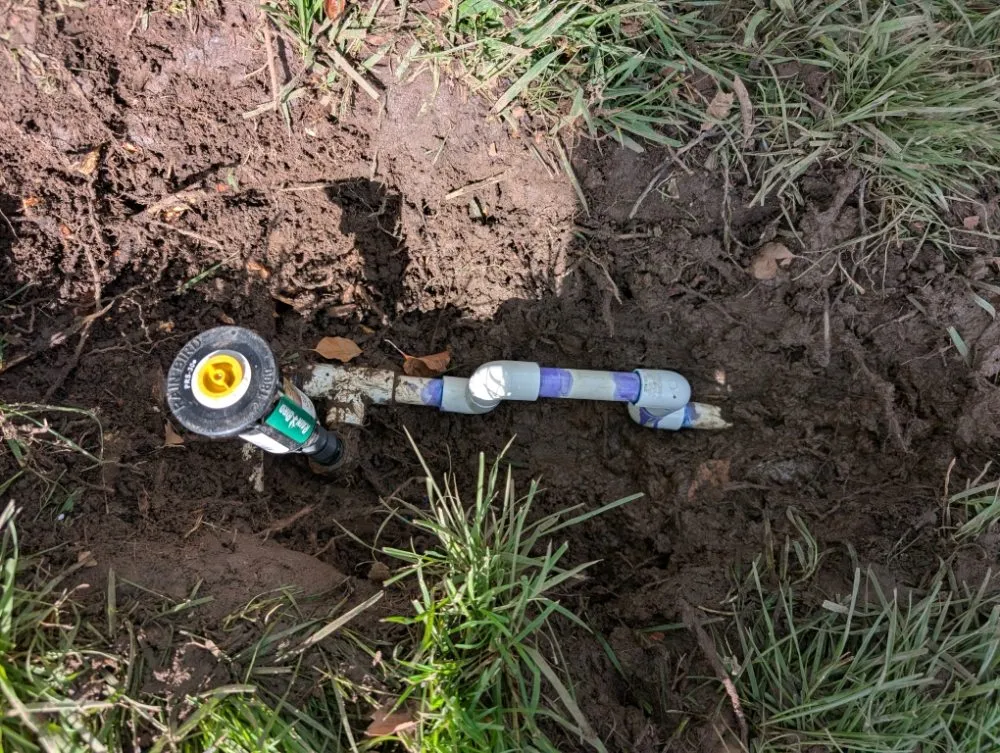 Local yard maintenance in Folsom, CA by Loose Dirt