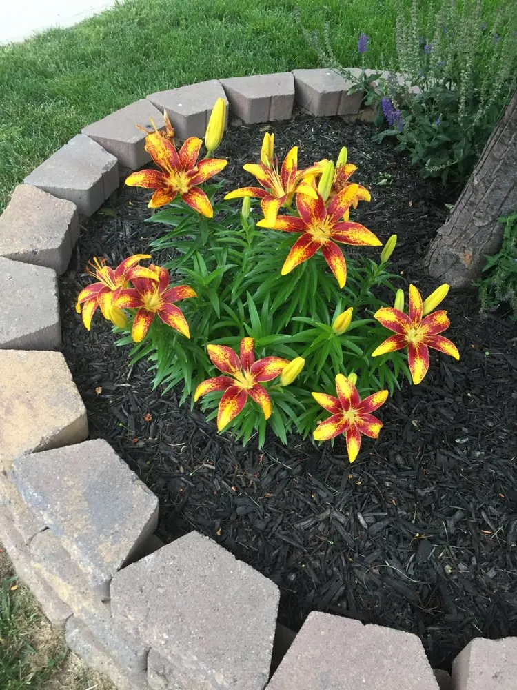 Reliable residential landscaping in Linden, NJ - Lopes & Sons Landscaping