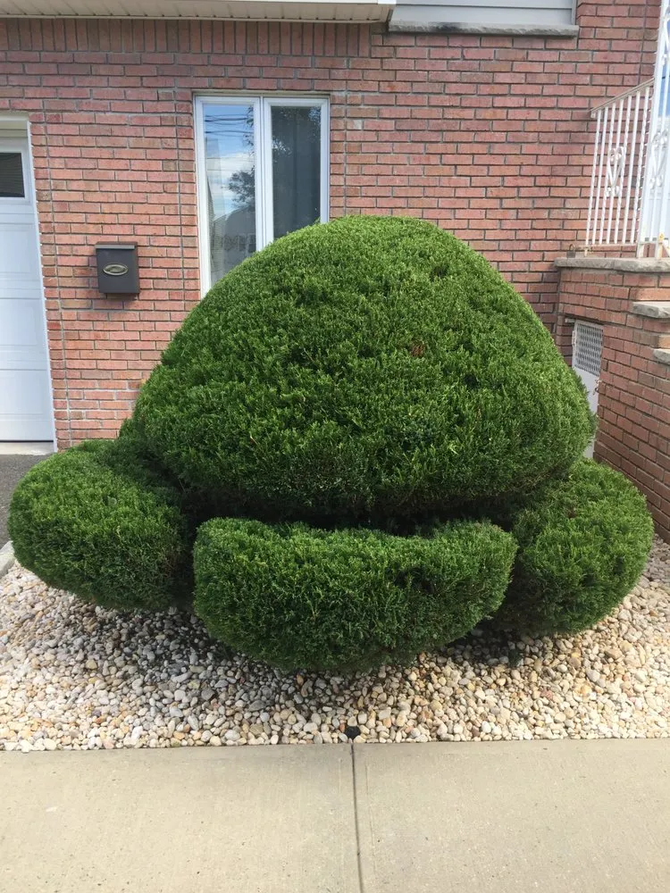 Top-rated landscape design in Linden, NJ - Lopes & Sons Landscaping