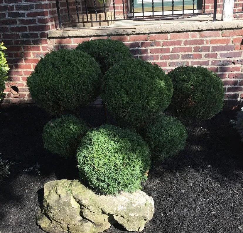 Top-rated lawn mowing service in Linden, NJ by Lopes & Sons Landscaping