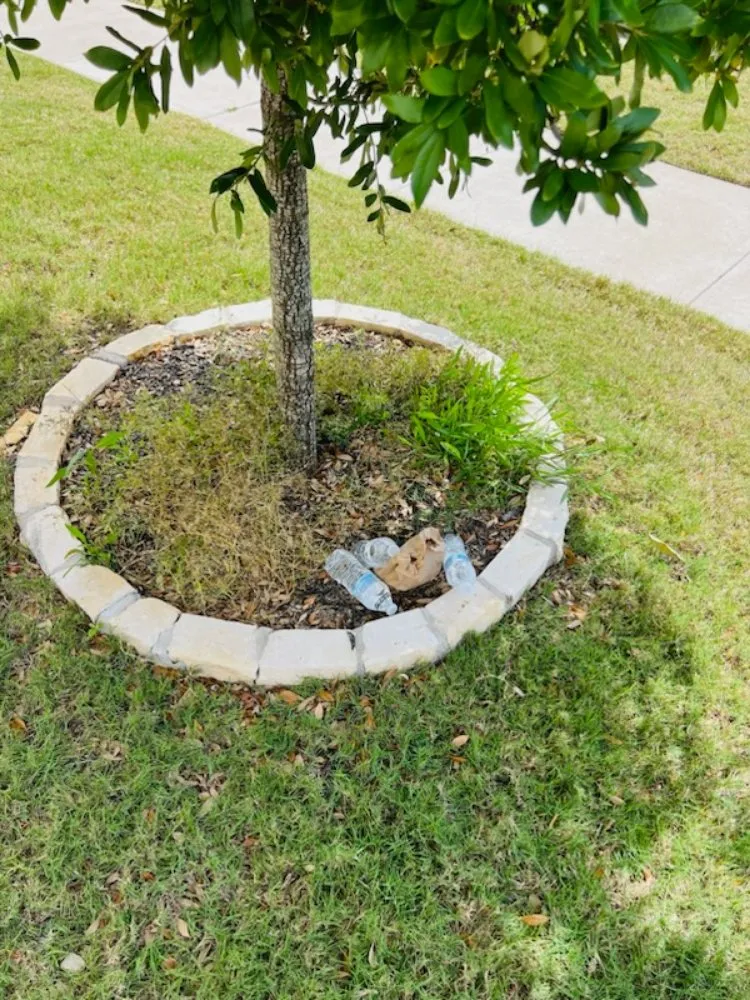 Top-rated outdoor landscaping experts serving Del Valle, TX - Lopez & Son’s Landscaping Services