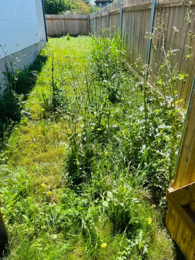 Expert garden landscaping for year-round maintenance across Del Valle, TX - Lopez & Son’s Landscaping Services