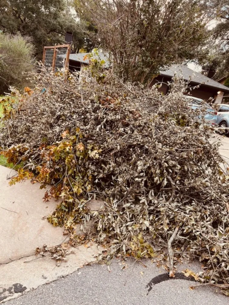 Reliable landscaping services for year-round maintenance across Del Valle, TX - Lopez & Son’s Landscaping Services