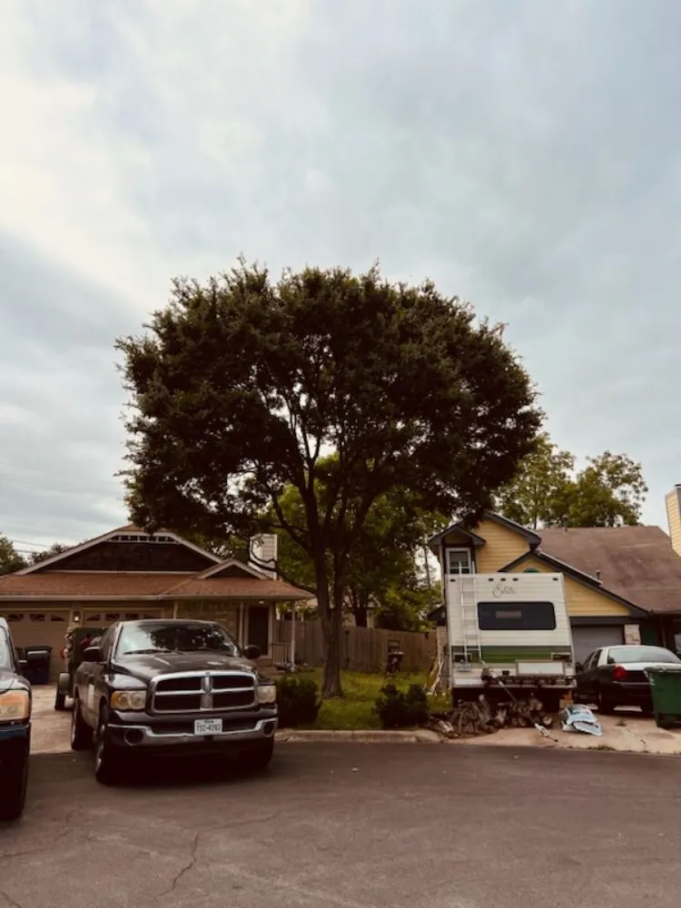 Top-rated garden landscaping experts serving Del Valle, TX - Lopez & Son’s Landscaping Services