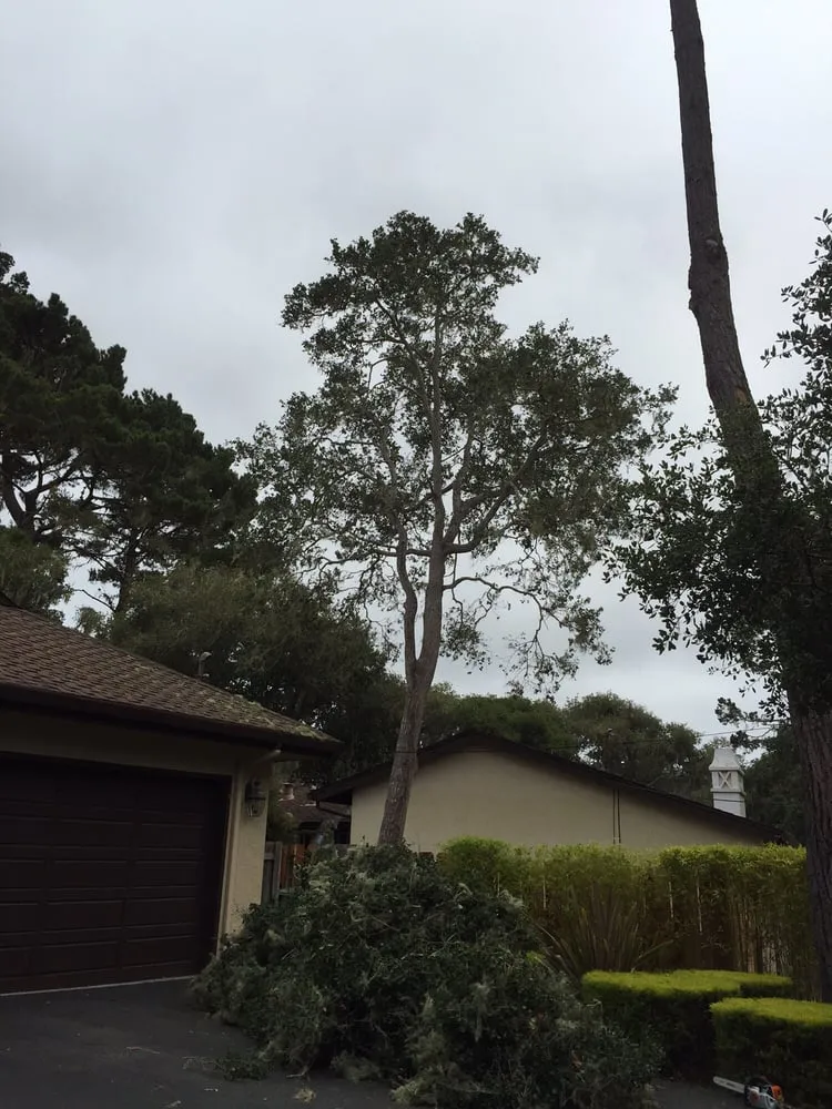 Local lawn care service for homes in Salinas, CA by Lopez & Sons Tree Service and Landscaping