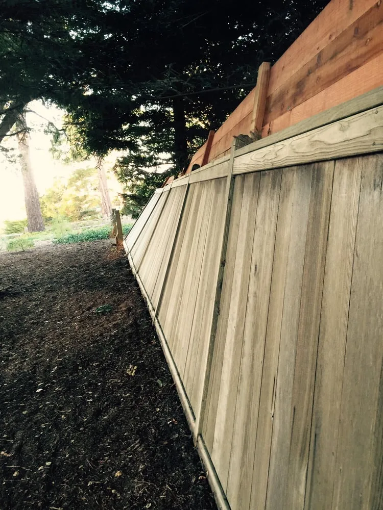 Custom yard cleanup service in Salinas, CA - Lopez & Sons Tree Service and Landscaping