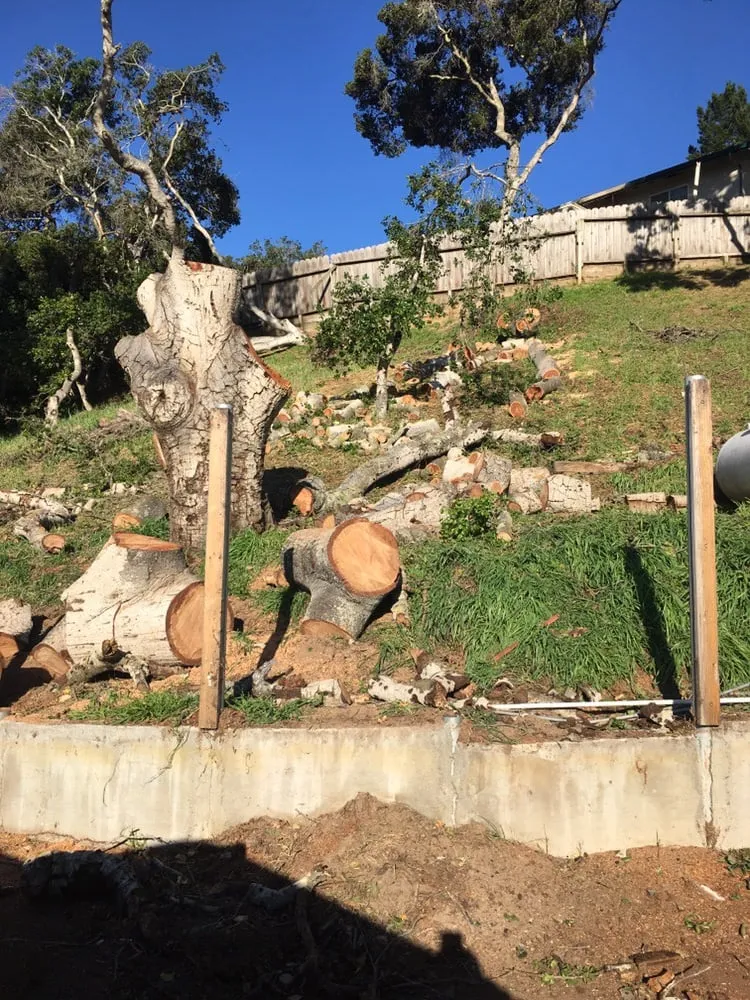 Professional residential landscaping in Salinas, CA by Lopez & Sons Tree Service and Landscaping