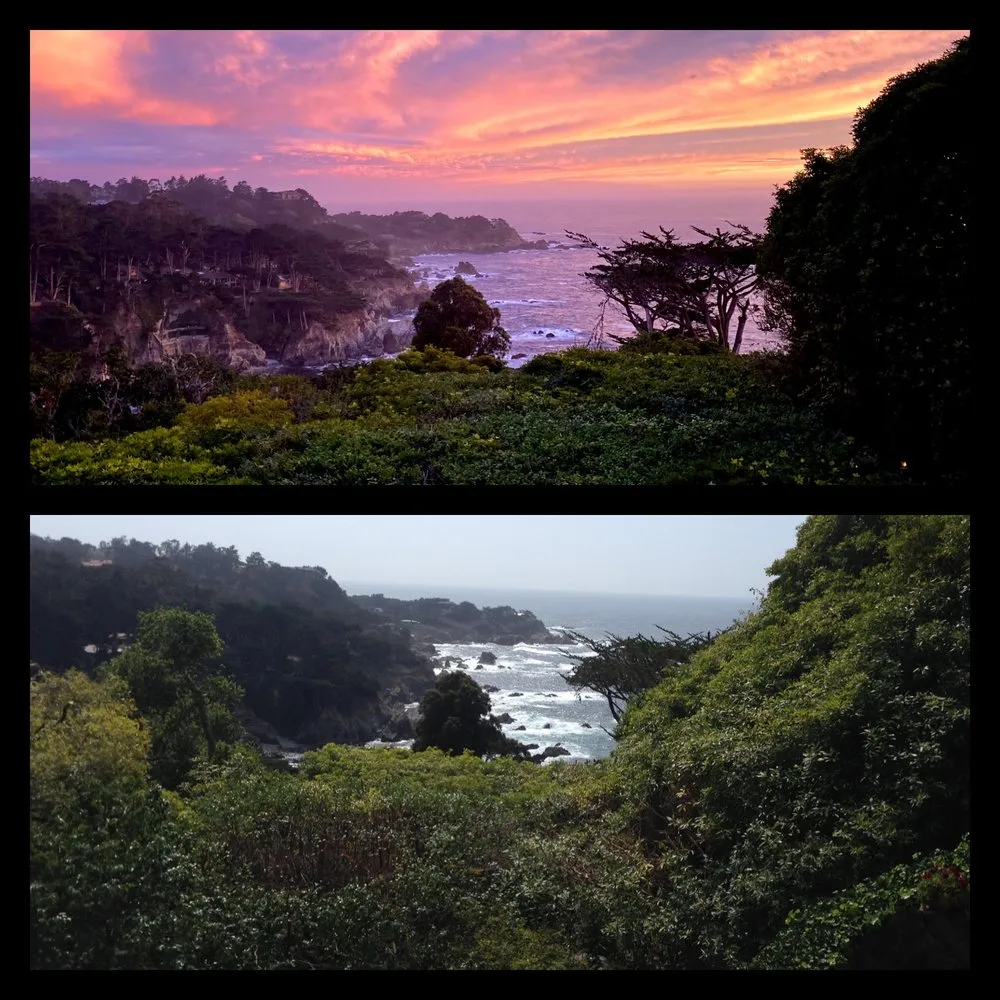 Affordable outdoor landscaping in Salinas, CA by Lopez & Sons Tree Service and Landscaping