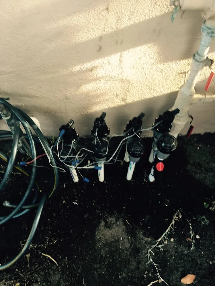 Reliable landscape installation for year-round maintenance in Salinas, CA by Lopez & Sons Tree Service and Landscaping