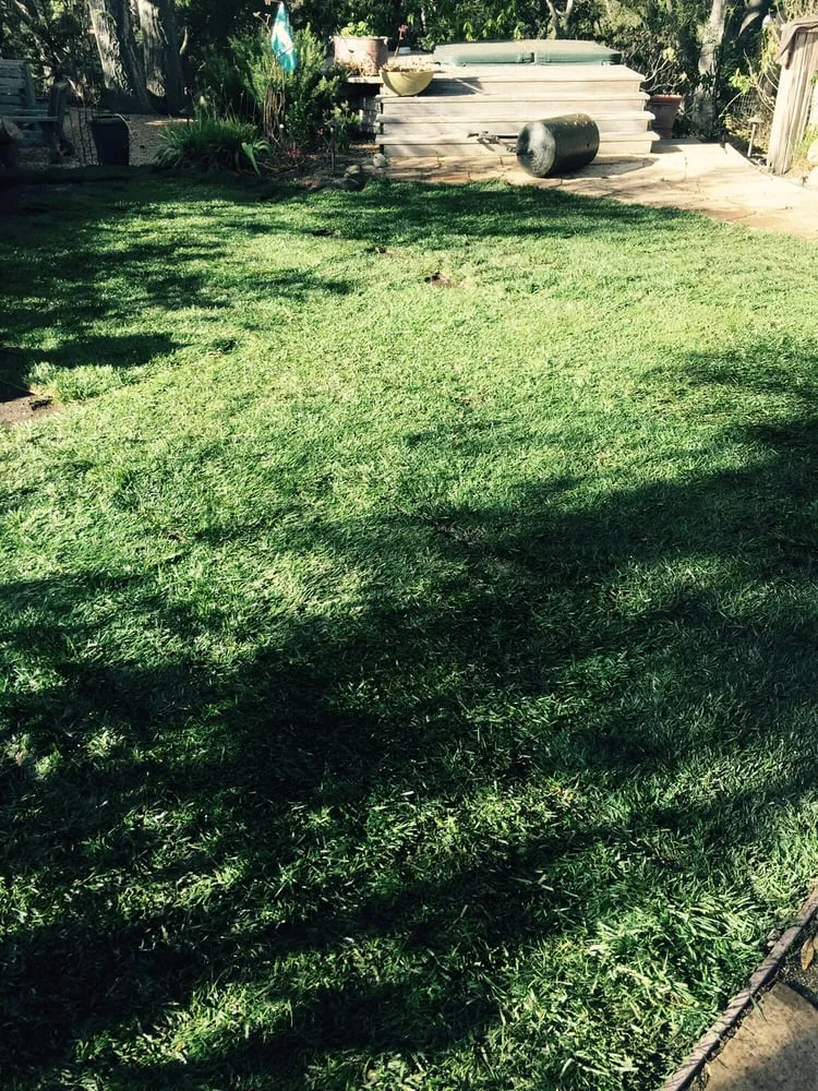 Affordable landscaping services for year-round maintenance across Salinas, CA - Lopez & Sons Tree Service and Landscaping