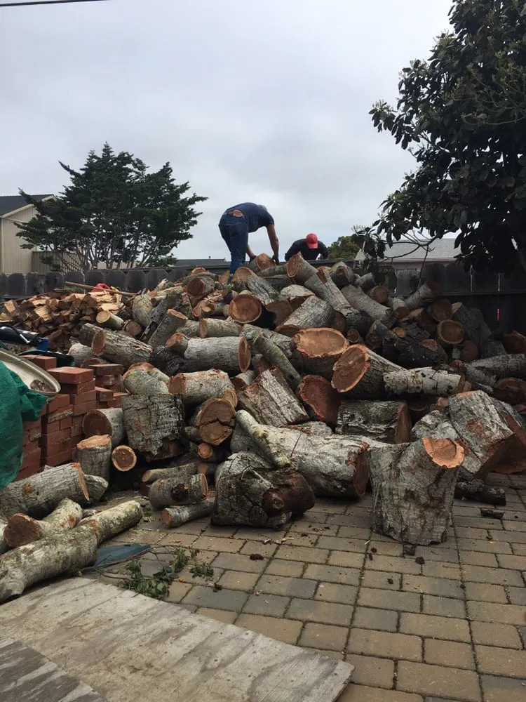 Local residential landscaping for residential properties in Salinas, CA by Lopez & Sons Tree Service and Landscaping