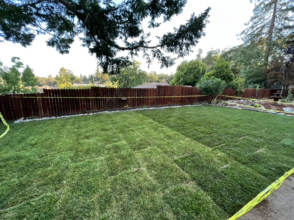 Local landscape design in Petaluma, CA - Lopez And Sons Lanscaping