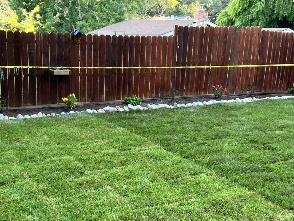 Affordable landscaping services near you in Petaluma, CA by Lopez And Sons Lanscaping