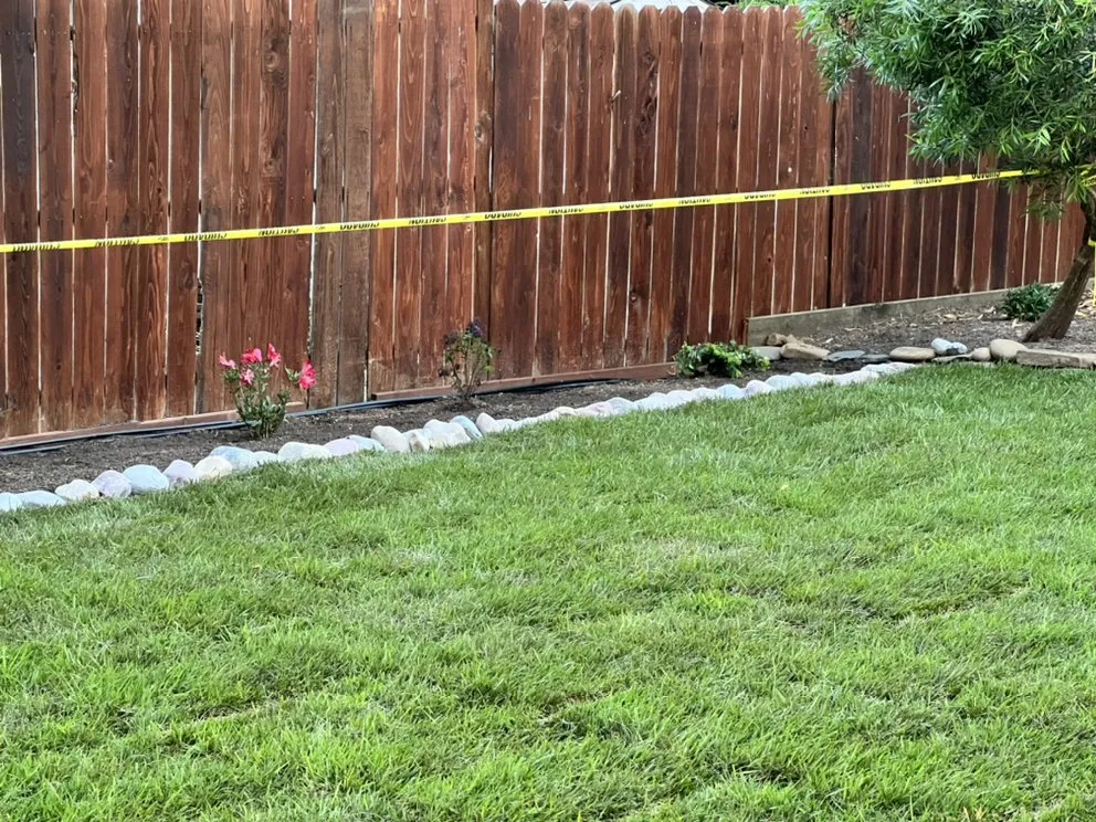 Top-rated yard maintenance in Petaluma, CA - Lopez And Sons Lanscaping