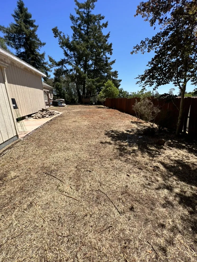 Custom residential landscaping near you across Petaluma, CA - Lopez And Sons Lanscaping