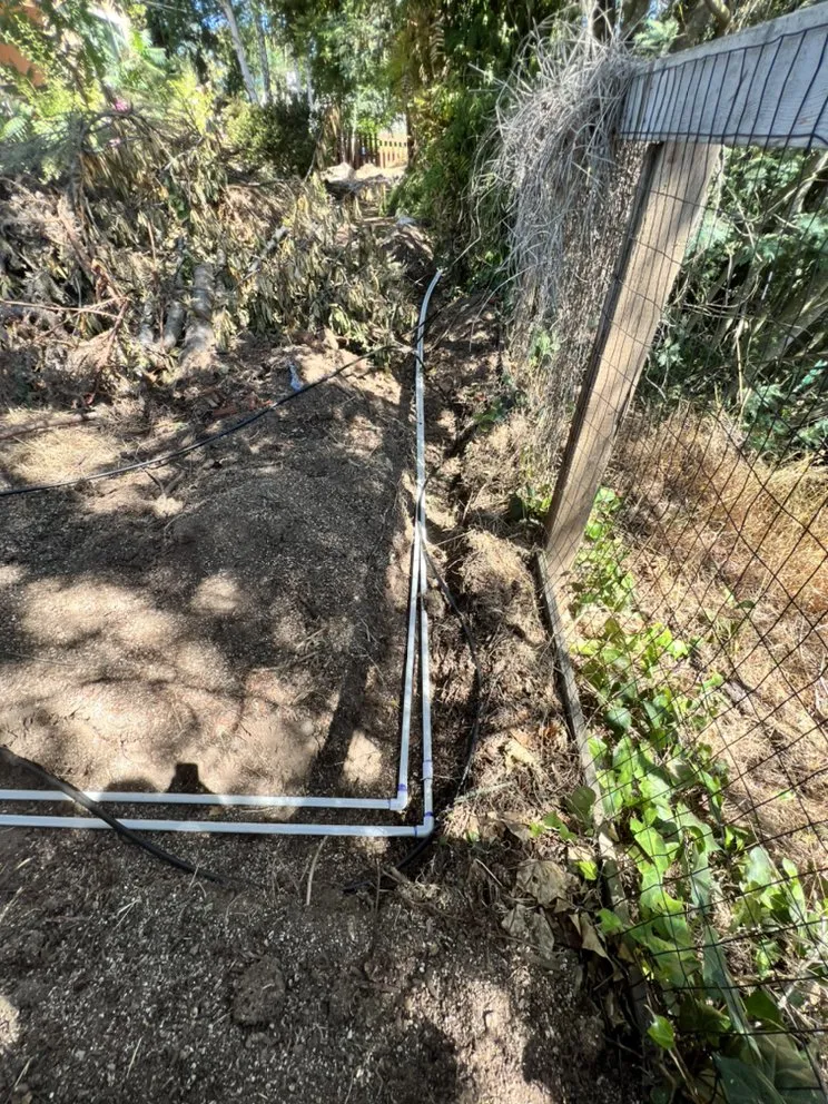 Affordable yard maintenance experts serving Petaluma, CA - Lopez And Sons Lanscaping