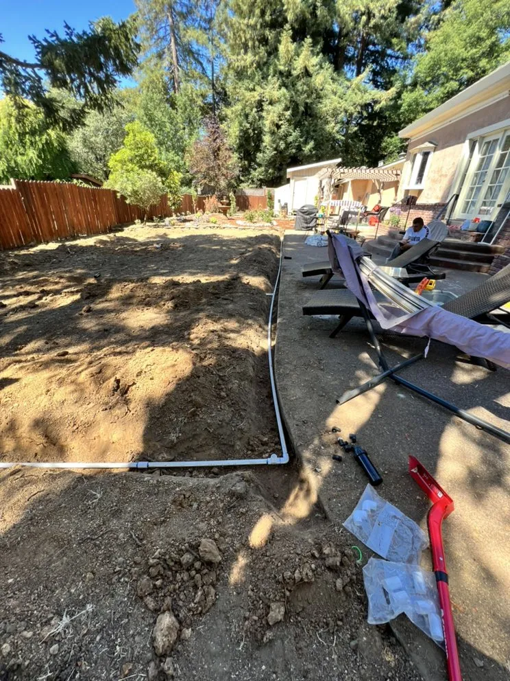 Professional yard cleanup service experts serving Petaluma, CA - Lopez And Sons Lanscaping