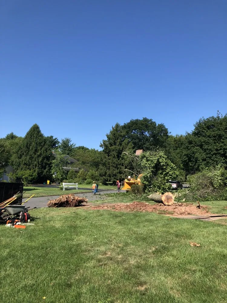 Local residential landscaping in Pennington, NJ - Lopez Aparicio Landscaping