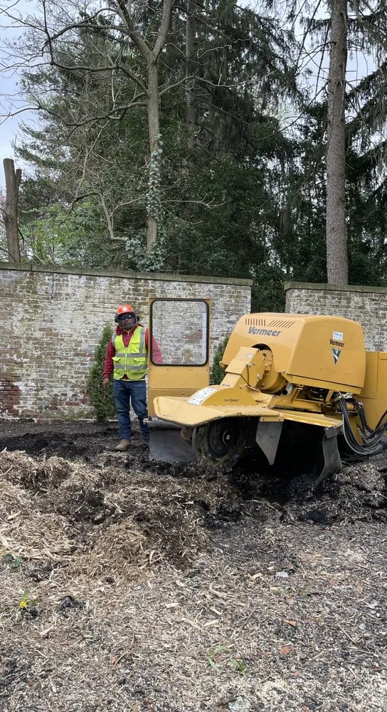 Top-rated yard cleanup service in Pennington, NJ - Lopez Aparicio Landscaping