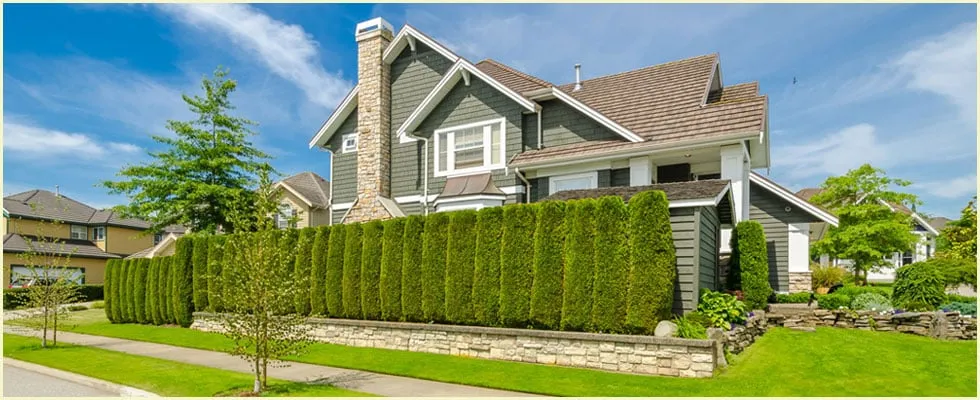 Affordable landscape installation in Pennington, NJ by Lopez Aparicio Landscaping