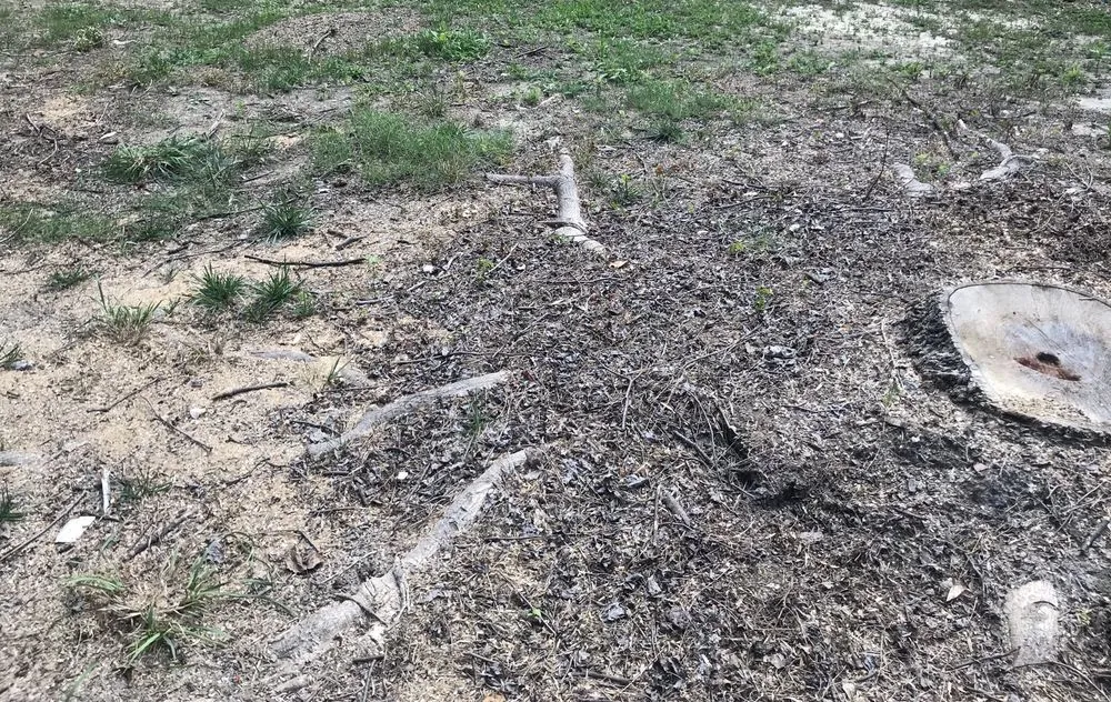 Expert landscape installation with custom design in Woodstock, GA by Lopez Bros Landscaping