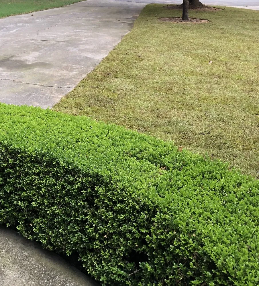 Professional lawn mowing service experts serving Woodstock, GA - Lopez Bros Landscaping