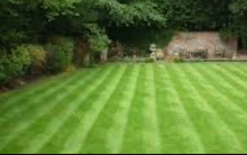 Reliable yard maintenance for homes across Columbus, OH - Lopez Brothers